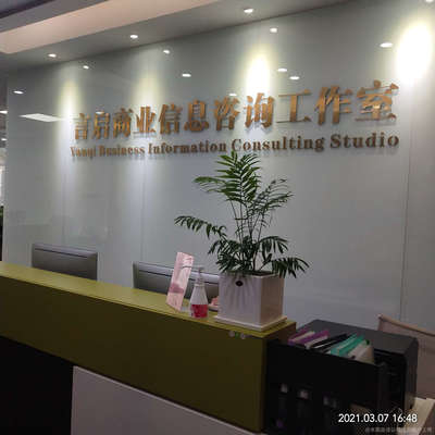 言啟商務(wù)信息咨詢(xún) 企業(yè)決策的智慧之眼